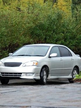 ХХХ фото #3470 - Большие сиськи, Межрассовые